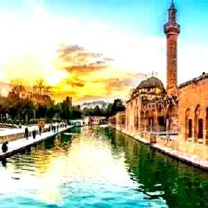 Şanlıurfa Evden Eve Nakliyat