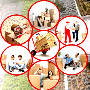 İstanbul Ev Taşıma